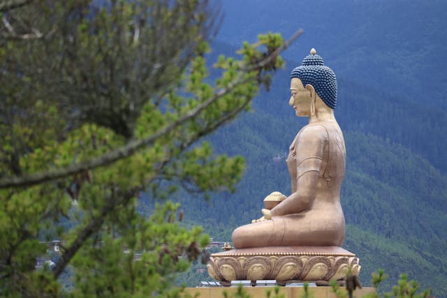 Paro tsechu con tappa a Delhi - foto 4