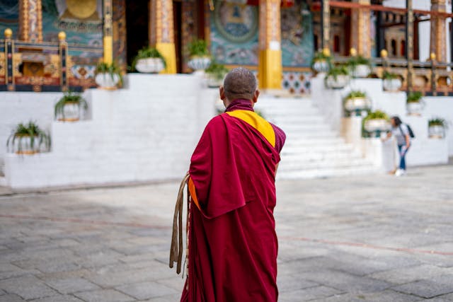 Paro tsechu con tappa a Delhi - foto 5