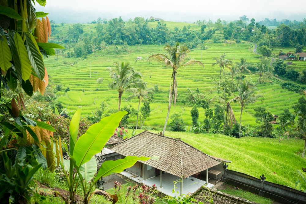 Giappone e Bali, Speciale Viaggi di Nozze - foto 3