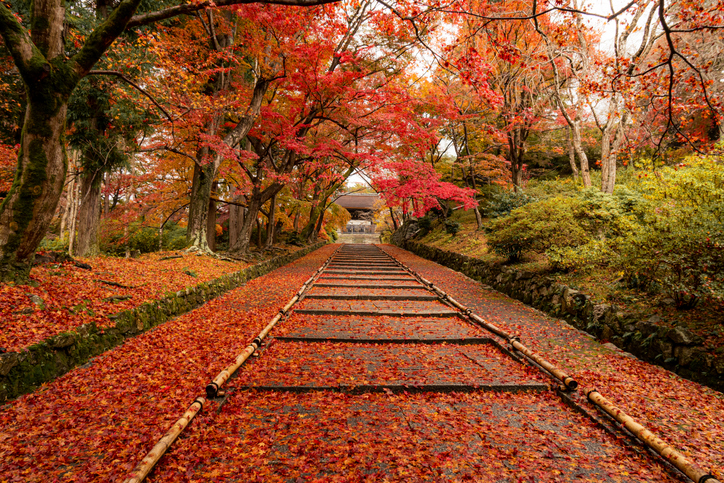 La Via Dei Samurai - foto 11