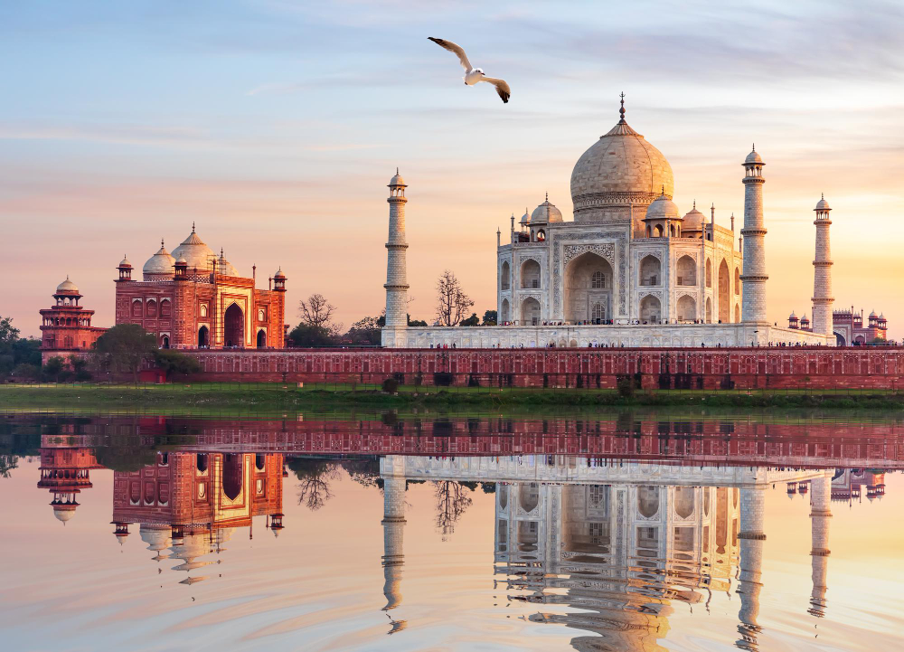 India - Triangolo D'oro 2026-27 - foto 6