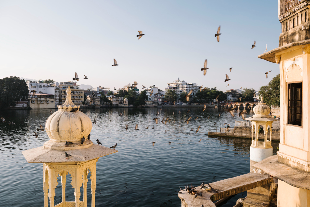 India del Sud - Incantevole Kerala 2026-27 - foto 5
