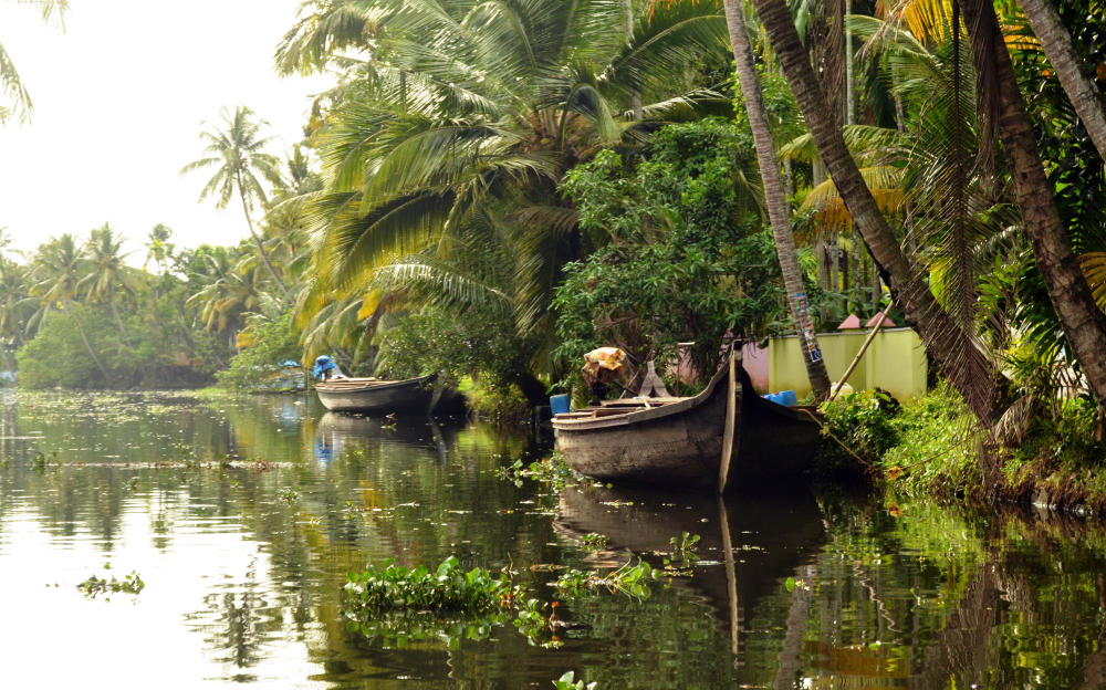 India del Sud - Incantevole Kerala 2026-27 - foto 9