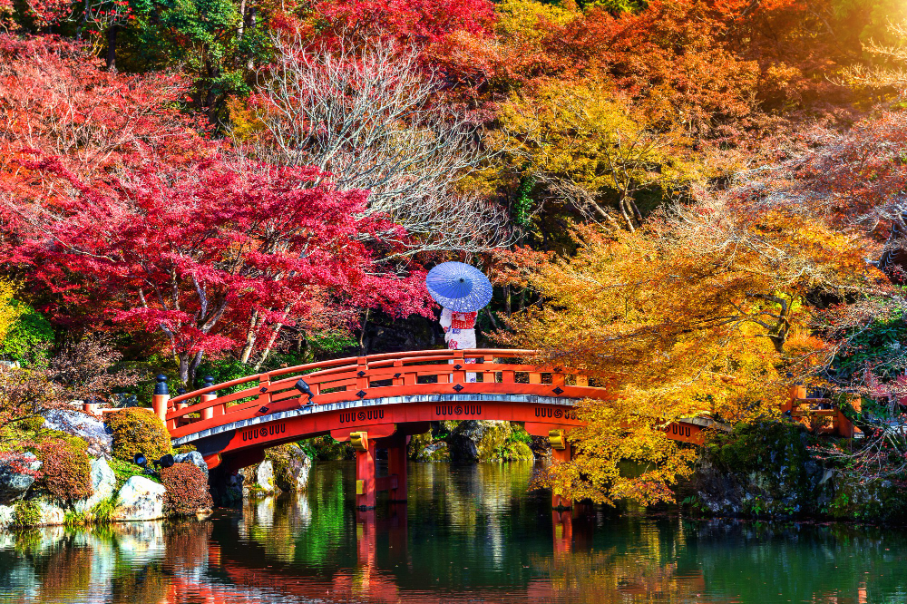 Giappone Accessibile - Viaggio per Disabili - foto 2