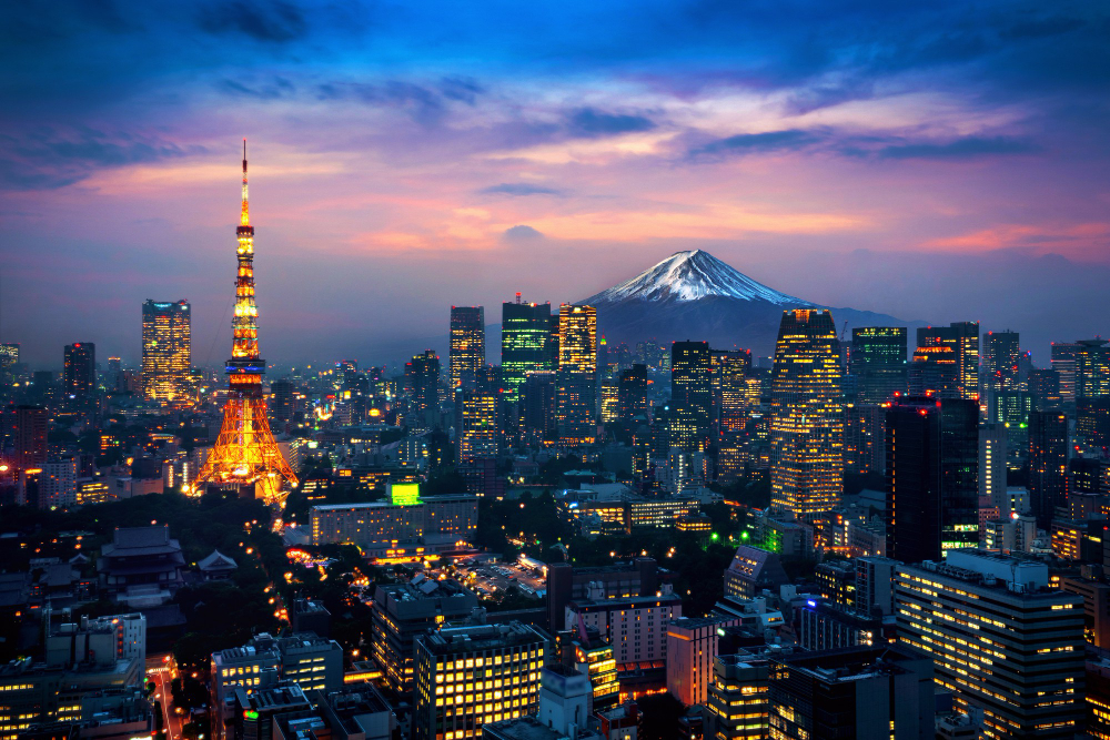 Giappone Accessibile - Viaggio per Disabili - foto 10
